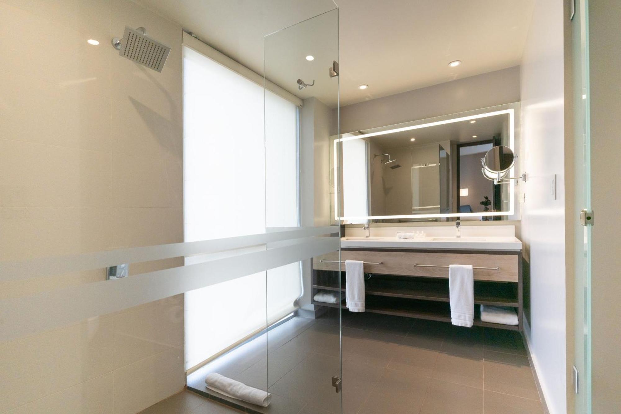 One-Bedroom King Suite